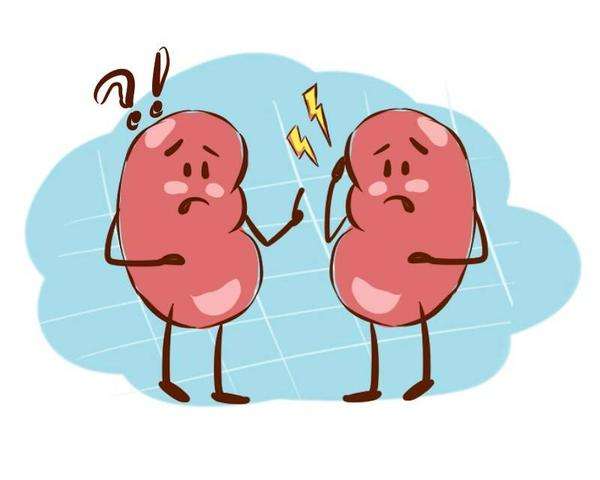 健康養(yǎng)生小知識！腎衰竭的早期癥狀表現(xiàn)有哪些？