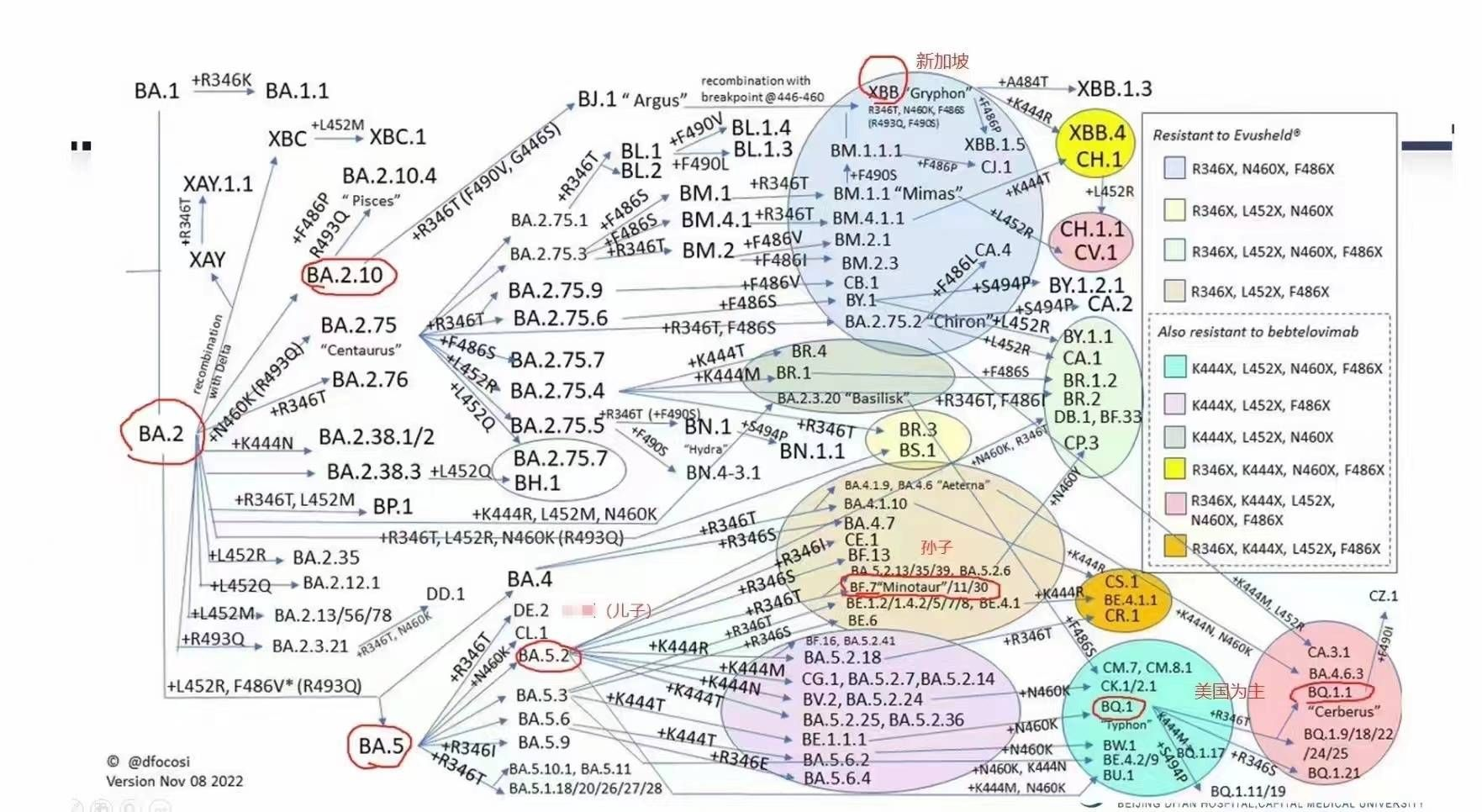 陽了哪些事情不能做？感染新冠康復(fù)之后哪些事要注意？