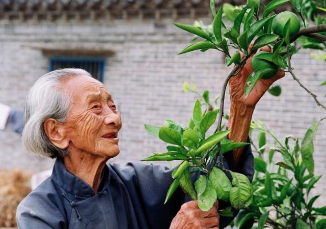 長壽的人有哪些特點？年紀大了如何養(yǎng)生？